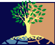 IIGS Logo